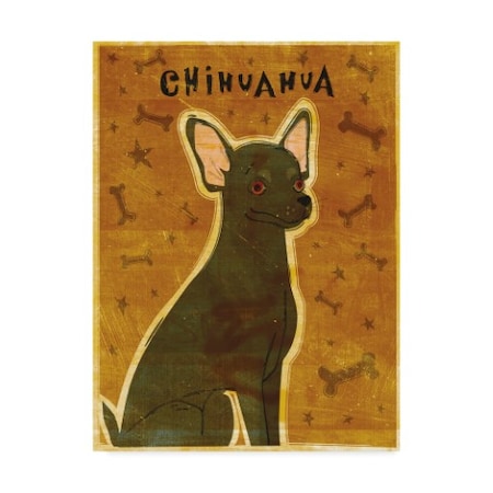 John W. Golden 'Chihuahua Brown' Canvas Art,18x24